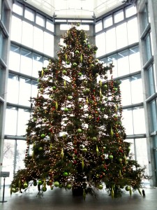 Christmas Tree in National Gallery
