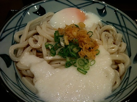 Udon cafeteria noodles