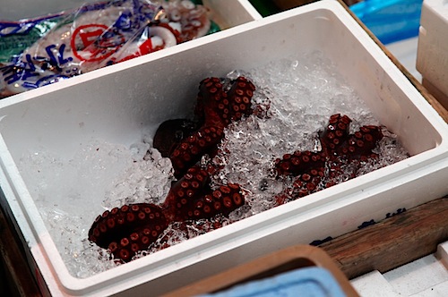 Octopus at Tsukiji Fish Market