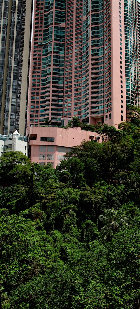 Skyscrapers against jungle