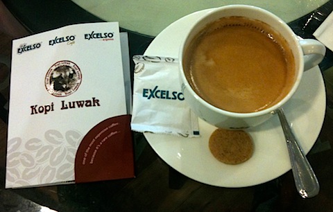 Civet Coffee Luwak