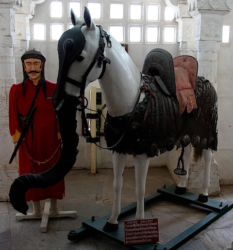 Maharaja & Horse