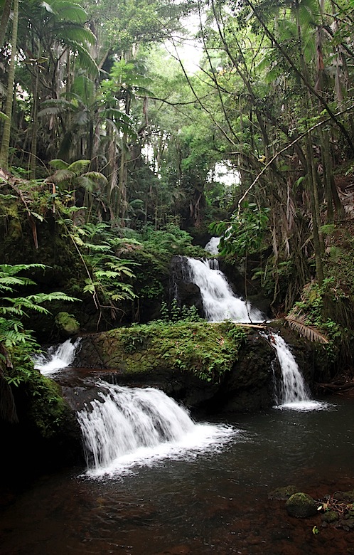 Waterfall at Hawaii Tropical Botanical Gardens