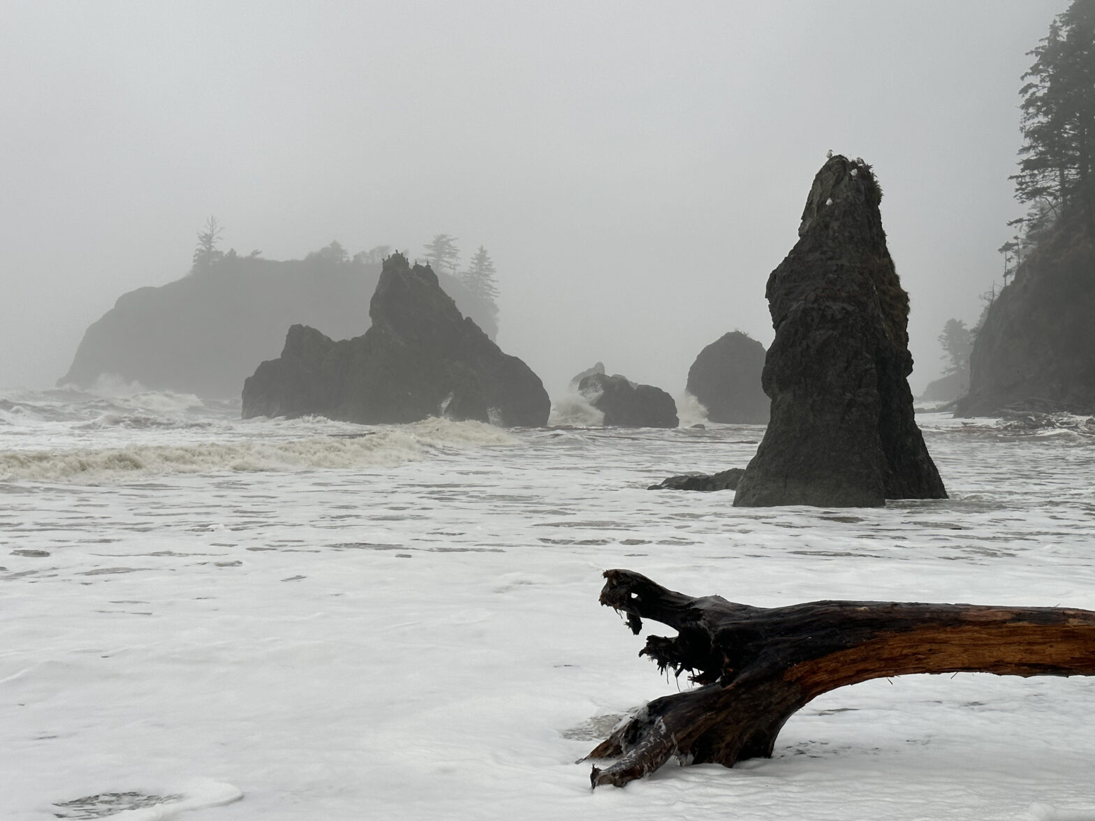 High King Tide During Storm at Ruby Beach