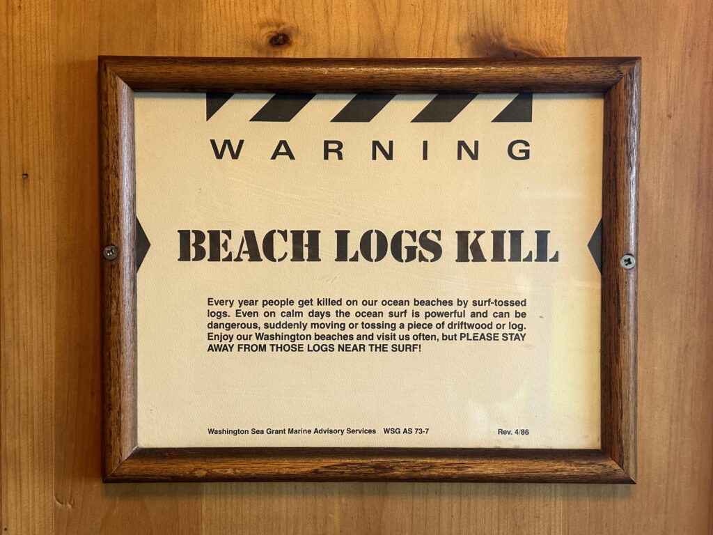Beach Logs Kill