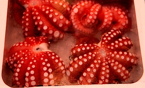 Tsukiji Fish Market
