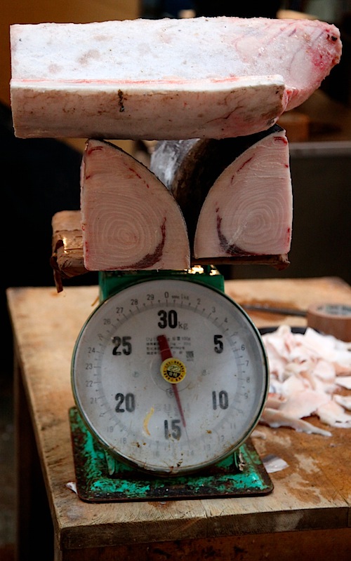 Tsukiji Fish Market