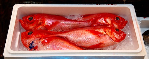 Tsukiji Fish Market