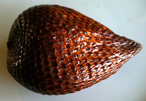 Snakefruit