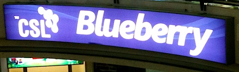 CSL Blueberry
