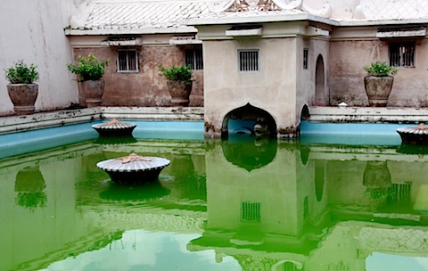 Brackish Water and Concrete at Water Castle