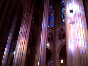 Light in St John the Divine