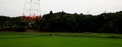 Rice Paddies & Power Lines near Narita