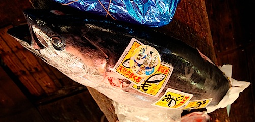 Tsukiji Fish Market