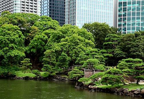 Hamarikyu-Teien Garden