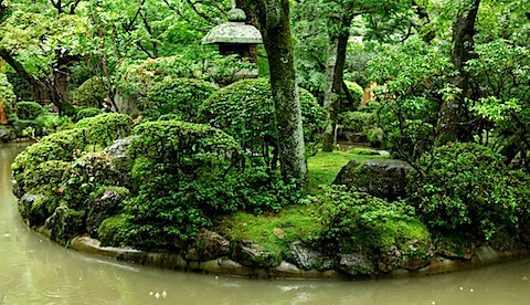 Bonzai garden at Kiyomizudera Temple