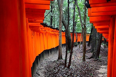 Gates at Fushimi Inari Shrine