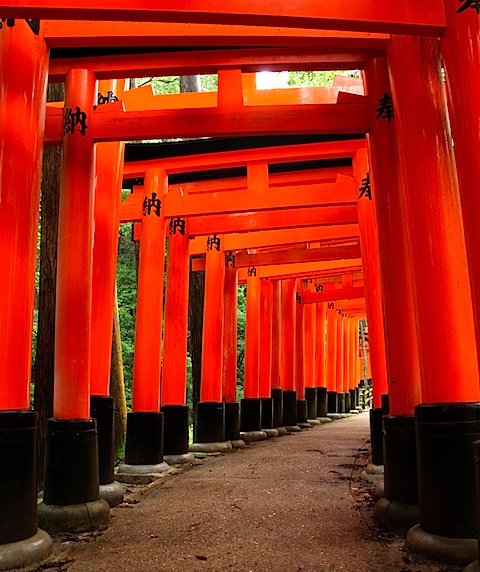 Gates at Fushimi Inari Shrine