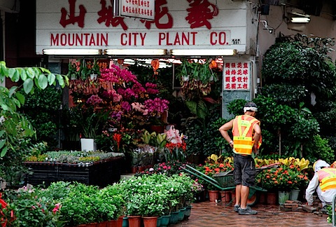 Flower market on Flower Market Road