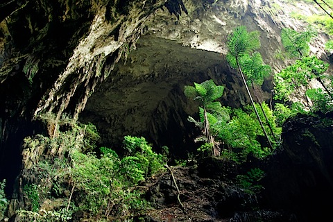 Deer Cave