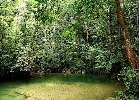 Clearwater Cave Watering Hole