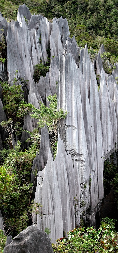 Pinnacles