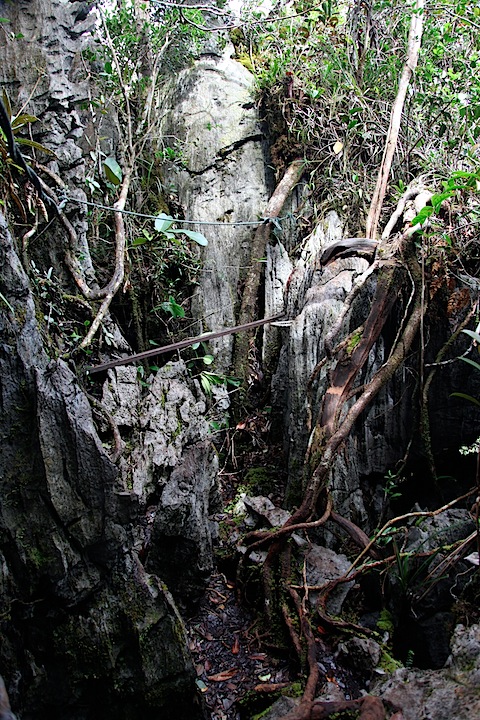 Trail to the Pinnacles