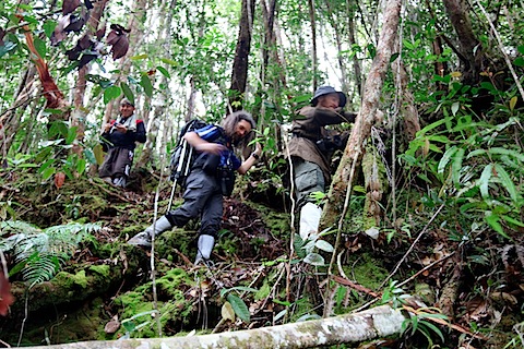 Steep Hiking for David and Hanno