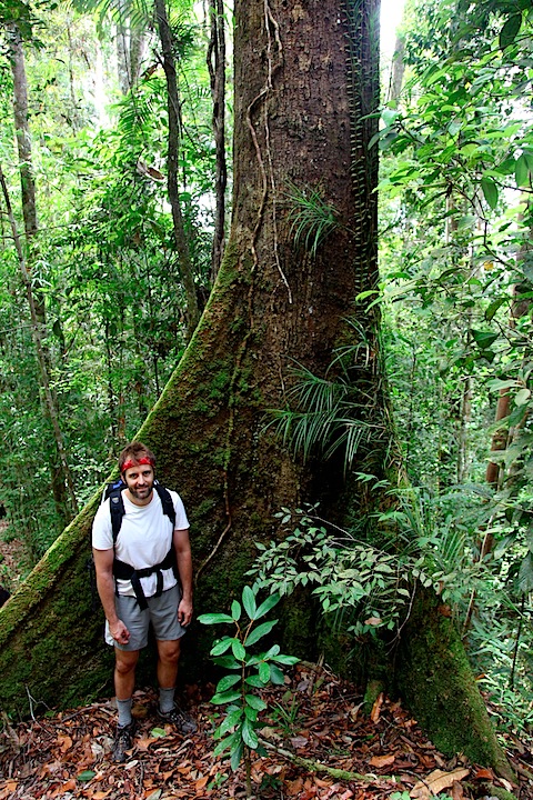 Me against giant root