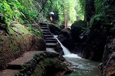 Stream and Shrine at Monkey Forest