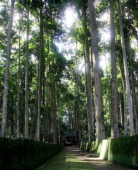 Path at Bukit Sari Temple