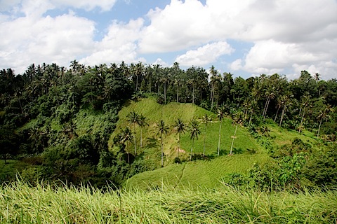 View from Champuan Ridge