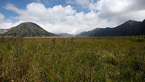 Mt Bromo and Savannah