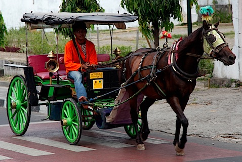 Horse and carriage