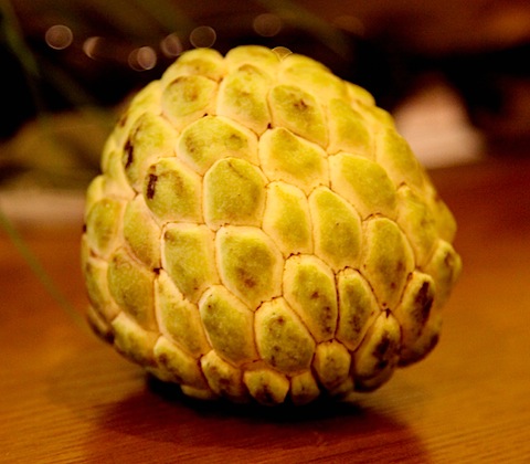 Custard Apple