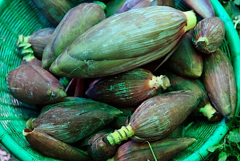 Banana Flowers