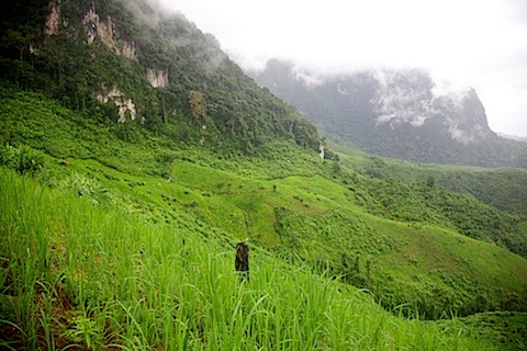 Lao countryside