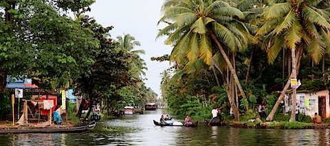 Kerala backwaters