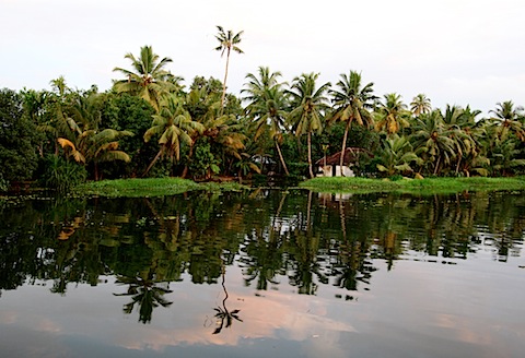 Kerala backwaters