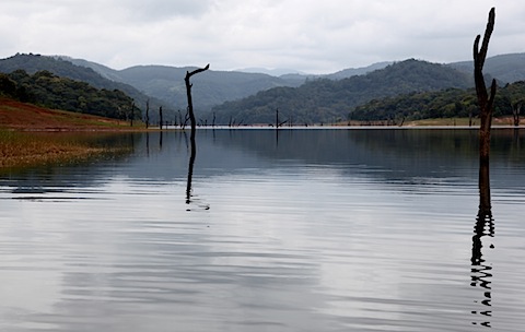 Periyar Lake