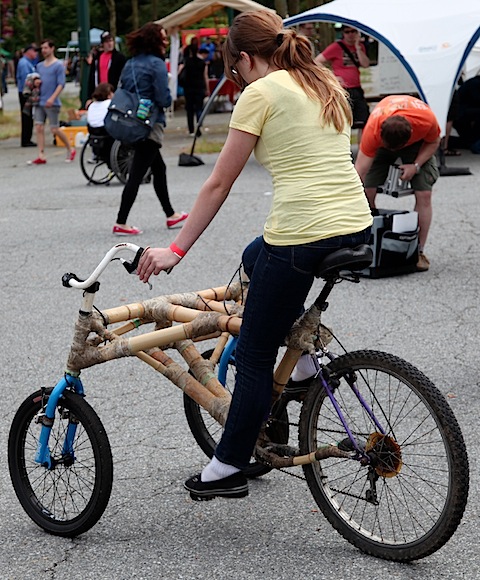 Bamboo Bike