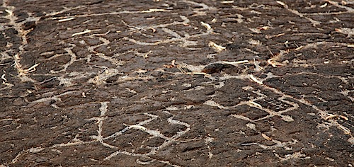 Petroglyphs