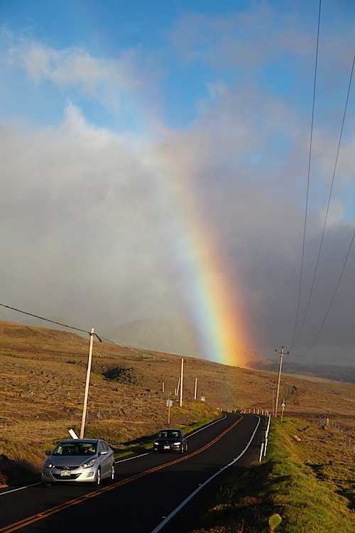 Hawaii Rainbow