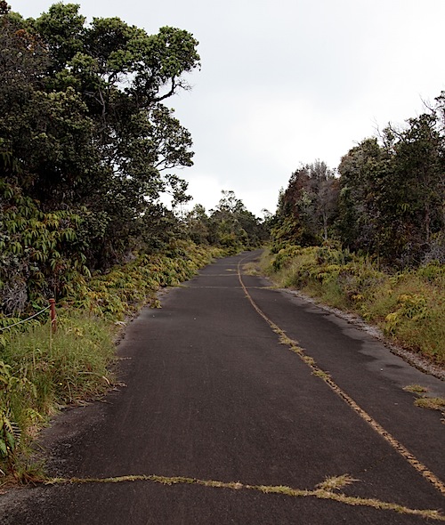 Abandoned Road