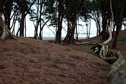 Beach at Pololu Valley