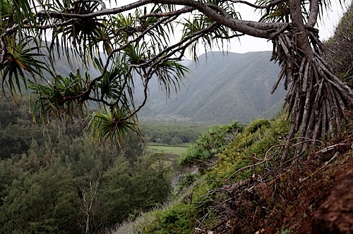 Pololu Valley