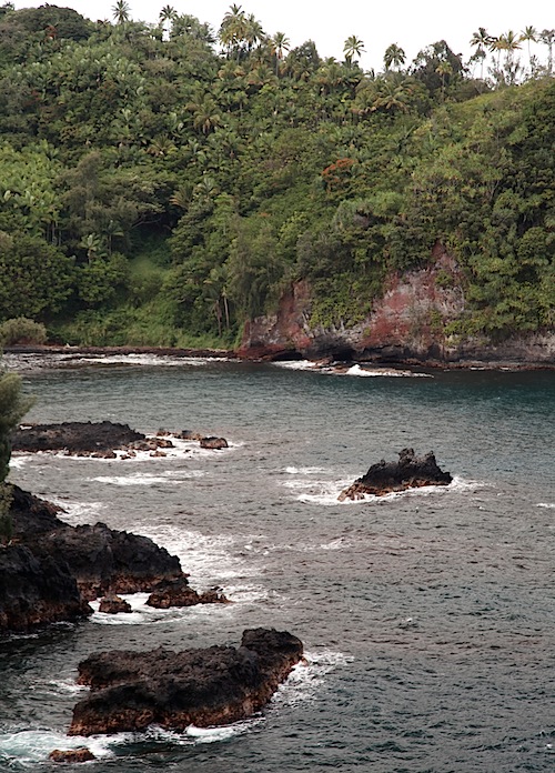 Rocks & Surf at Hawaii Botanical Gardens