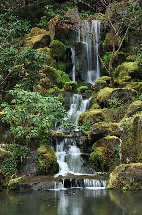 Japanese Garden