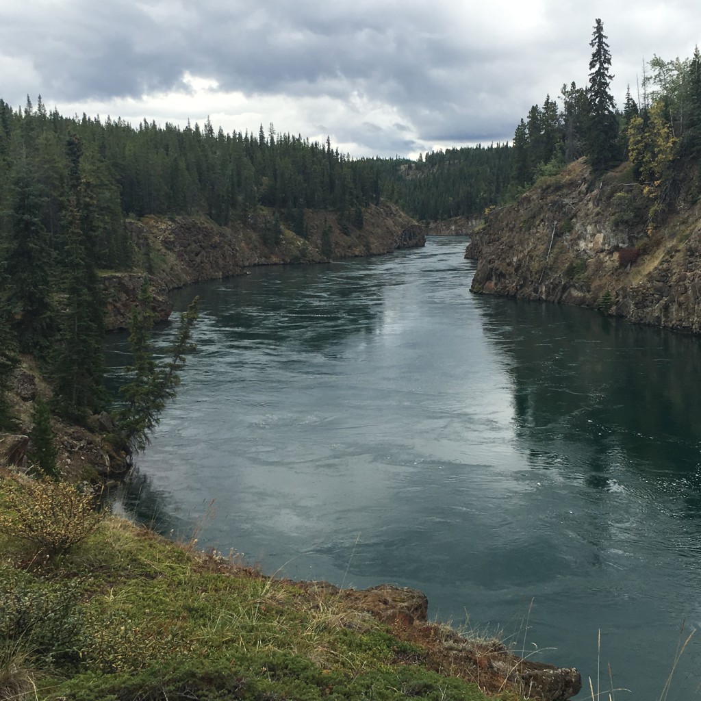 Trailing Running near Whitehorse