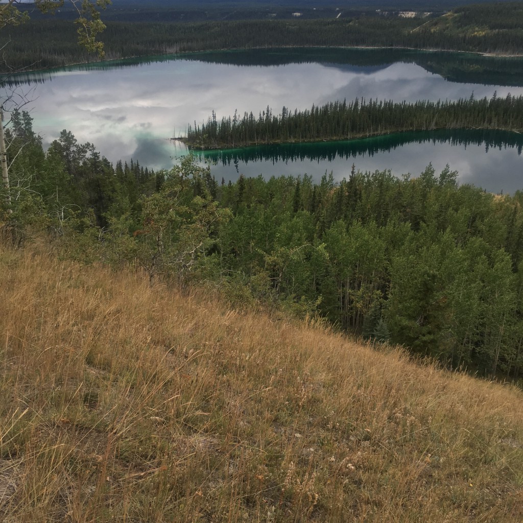 Trailing Running near Whitehorse